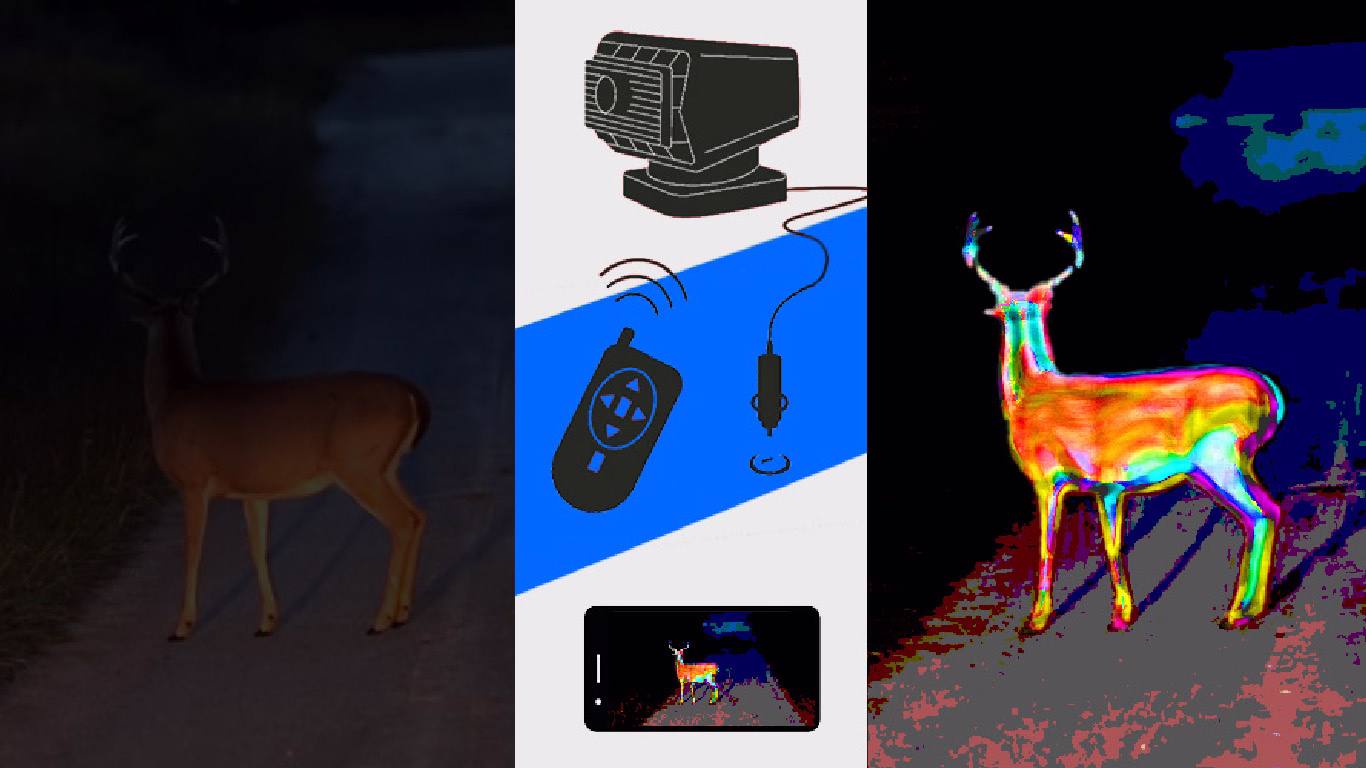 portfolio images
